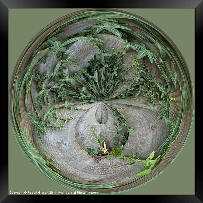 Spherical Paperweight Ivy Framed Print by Robert Gipson