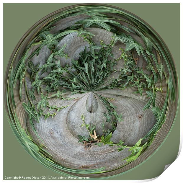 Spherical Paperweight Ivy Print by Robert Gipson