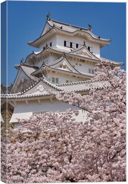 Himeji castle during the cherry blossom sakura season Canvas Print by Mirko Kuzmanovic