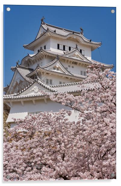 Himeji castle during the cherry blossom sakura season Acrylic by Mirko Kuzmanovic