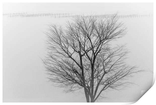 Lonely tree in a fog in front of lake Hamana in Shizuoka Prefecture of Japan Print by Mirko Kuzmanovic