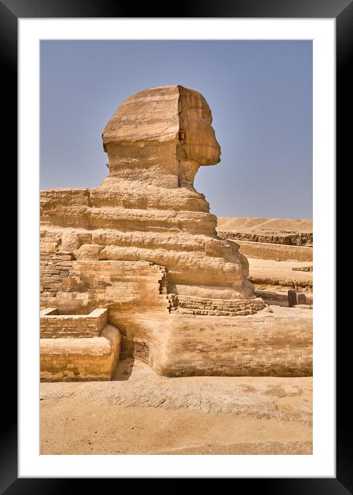 Great Sphinx of Giza on the Giza Plateau in Cairo, Egypt Framed Mounted Print by Mirko Kuzmanovic