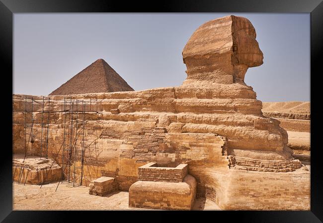 Great Sphinx of Giza on the Giza Plateau in Cairo, Egypt Framed Print by Mirko Kuzmanovic
