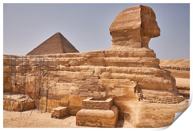 Great Sphinx of Giza on the Giza Plateau in Cairo, Egypt Print by Mirko Kuzmanovic