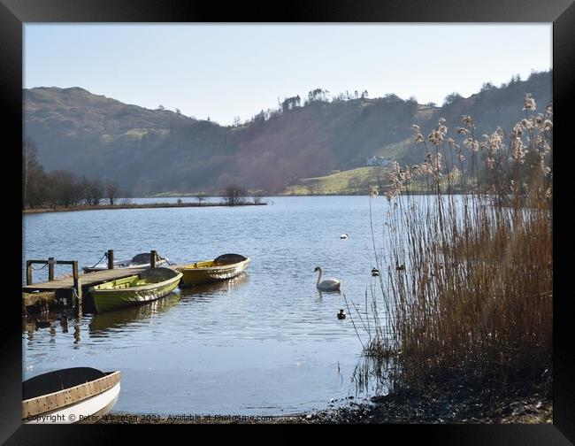 View across Grasmere, The Lake District Framed Print by Peter Wiseman