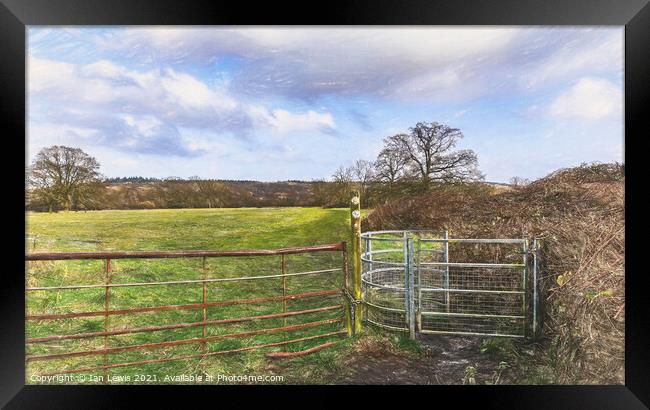 Gateway To The Meadow Framed Print by Ian Lewis