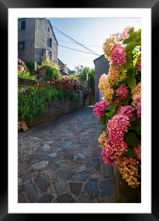 narrow flowered alley in Corsica Framed Mounted Print by youri Mahieu
