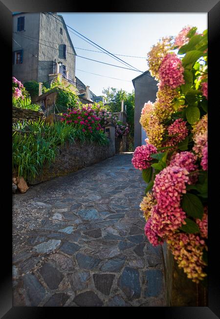 narrow flowered alley in Corsica Framed Print by youri Mahieu