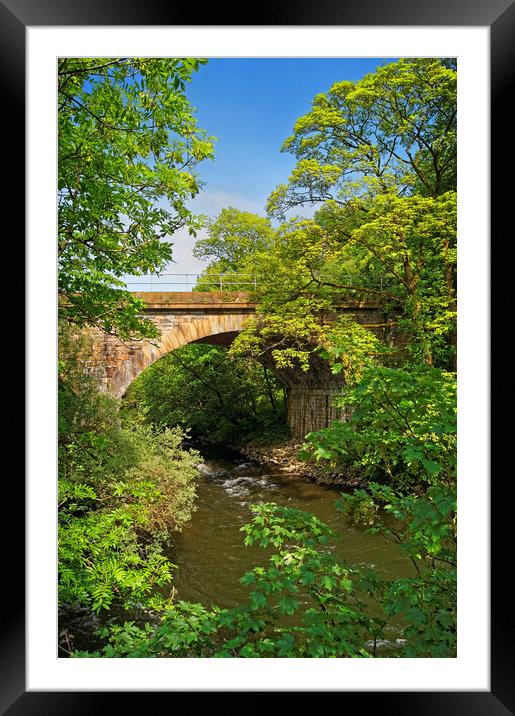 Bridge over The River Derwent Framed Mounted Print by Darren Galpin