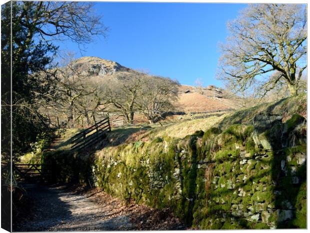 The Coffin Road from Grasmere to Rydal Water Canvas Print by Peter Wiseman