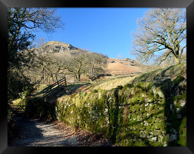 The Coffin Road from Grasmere to Rydal Water Framed Print by Peter Wiseman