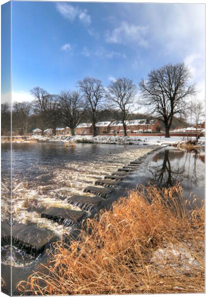 Sunshine and Snow Stanners Morpeth Canvas Print by David Thompson