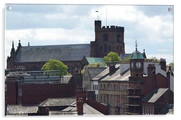 Roof top view of Carlisle Cathedral Acrylic by Peter Wiseman