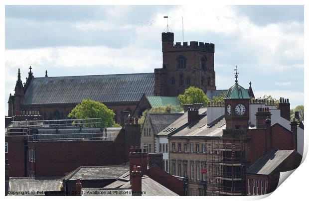Roof top view of Carlisle Cathedral Print by Peter Wiseman