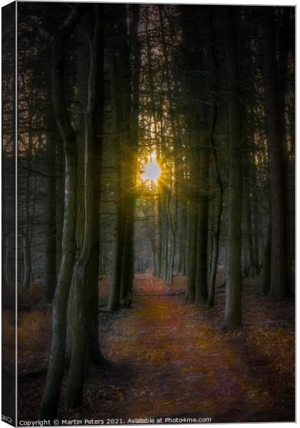 Woodland Sun Canvas Print by Martin Yiannoullou