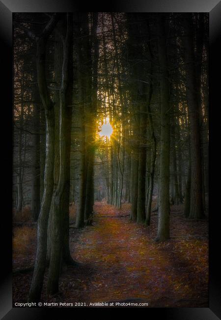 Woodland Sun Framed Print by Martin Yiannoullou