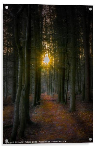 Woodland Sun Acrylic by Martin Yiannoullou