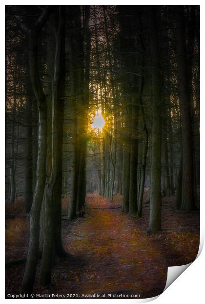 Woodland Sun Print by Martin Yiannoullou