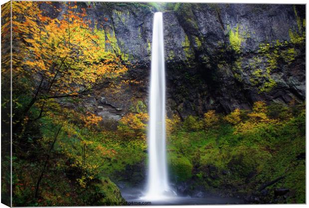 Waterfall and Fall Foliage Canvas Print by Chuck Koonce