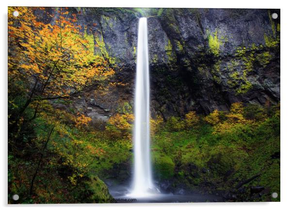 Waterfall and Fall Foliage Acrylic by Chuck Koonce
