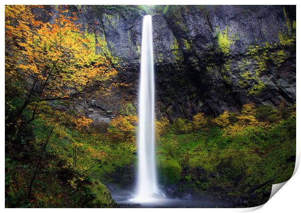 Waterfall and Fall Foliage Print by Chuck Koonce
