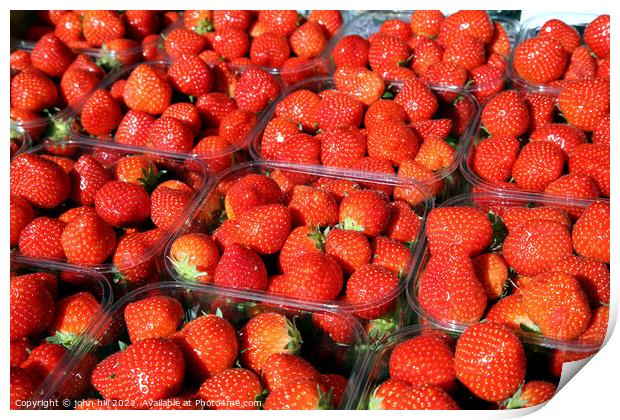Strawberries Print by john hill
