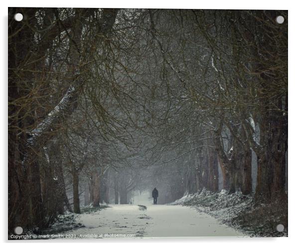 Winter Walk Acrylic by mark Smith