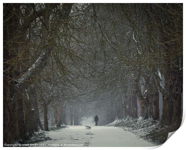 Winter Walk Print by mark Smith