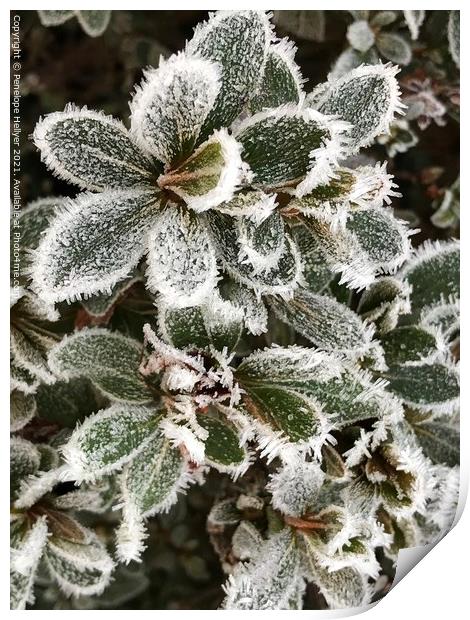 Faceted Ice Print by Penelope Hellyer