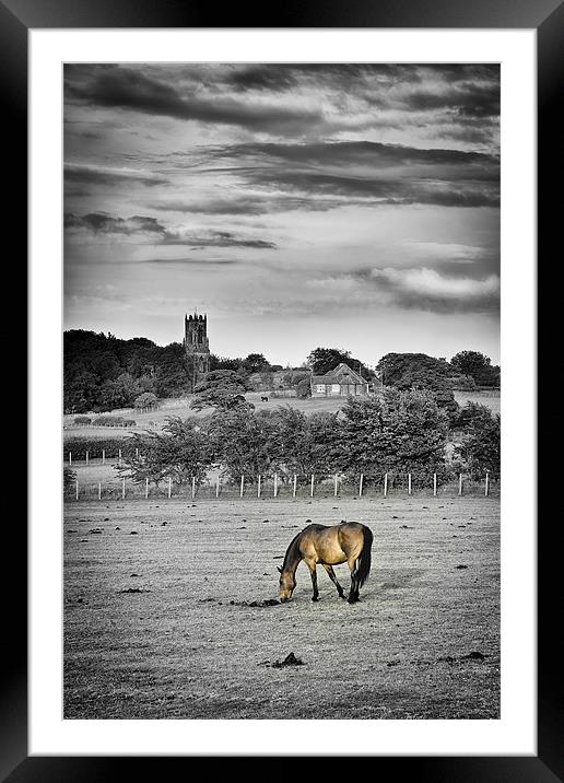 Church Horse Framed Mounted Print by Paul Appleby