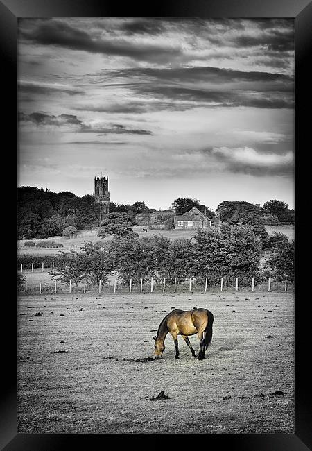 Church Horse Framed Print by Paul Appleby