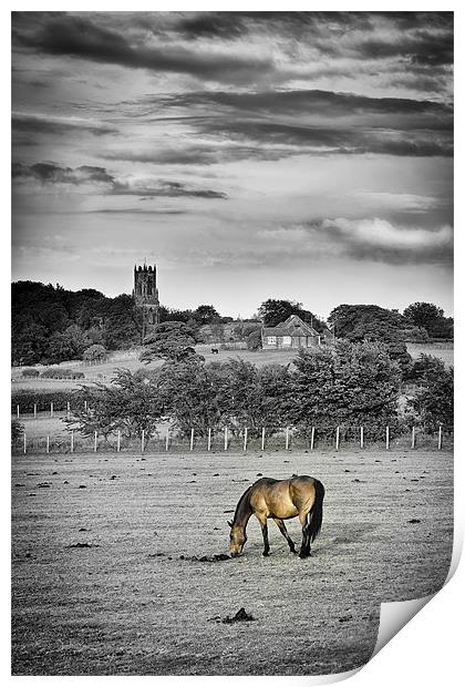 Church Horse Print by Paul Appleby