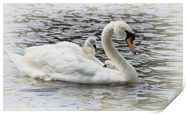 Swan with baby cygnets on her back,mother's day Print by kathy white