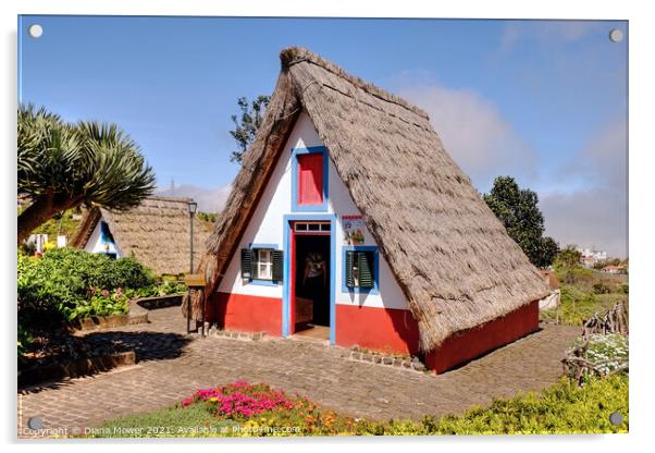 Traditional Madeira homes Santana  Acrylic by Diana Mower