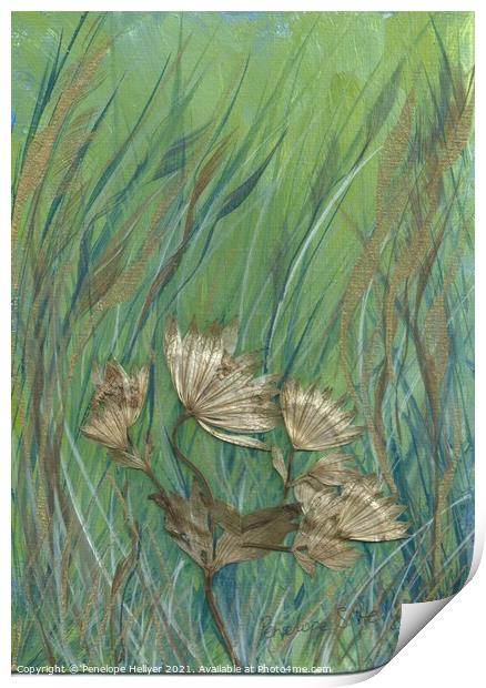 Astrantia Meadow Print by Penelope Hellyer