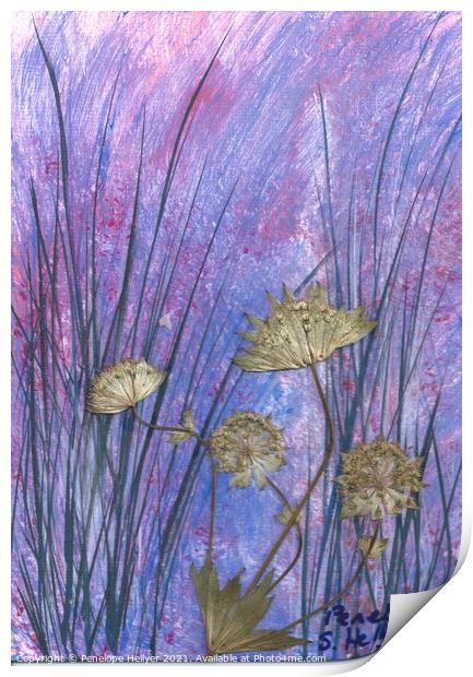 Black Grass Astrantia meadow Print by Penelope Hellyer