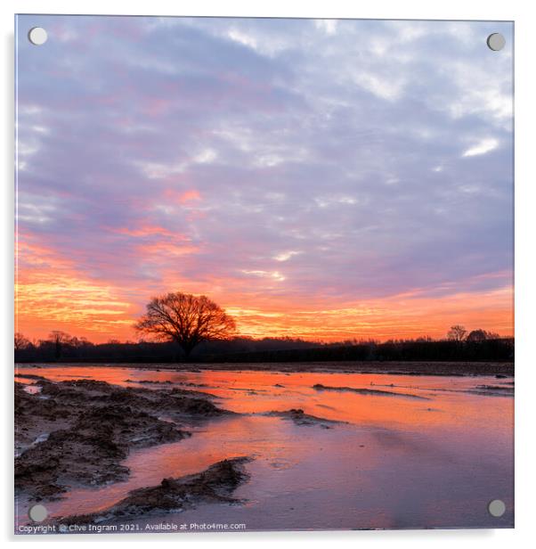 Winter sunrise Acrylic by Clive Ingram