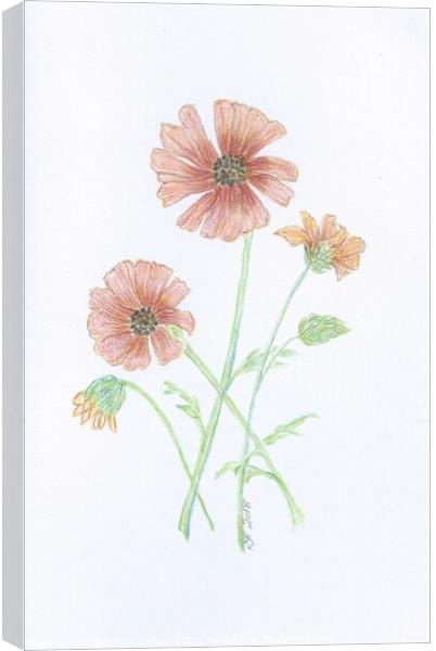 Crayon Daisies Canvas Print by Penelope Hellyer