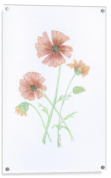 Crayon Daisies Acrylic by Penelope Hellyer