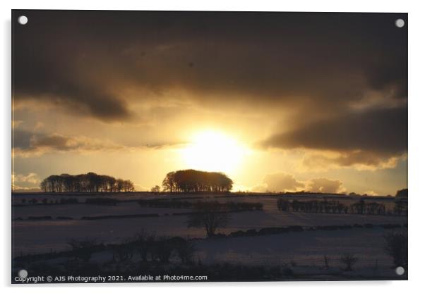 Wintery Sun Acrylic by AJS Photography