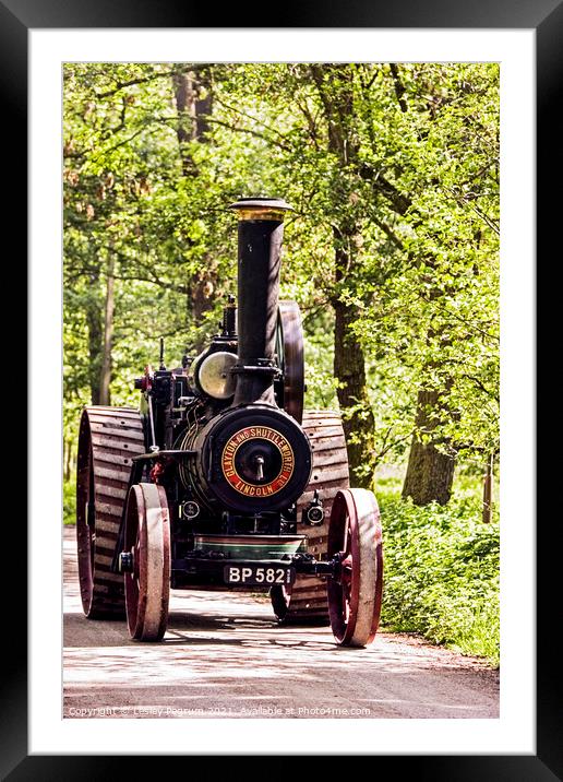 Clayton & Shuttleworth Steam Tractor Framed Mounted Print by Lesley Pegrum