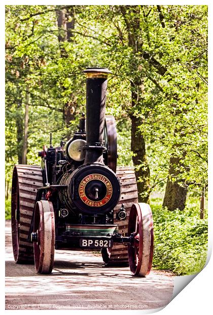 Clayton & Shuttleworth Steam Tractor Print by Lesley Pegrum