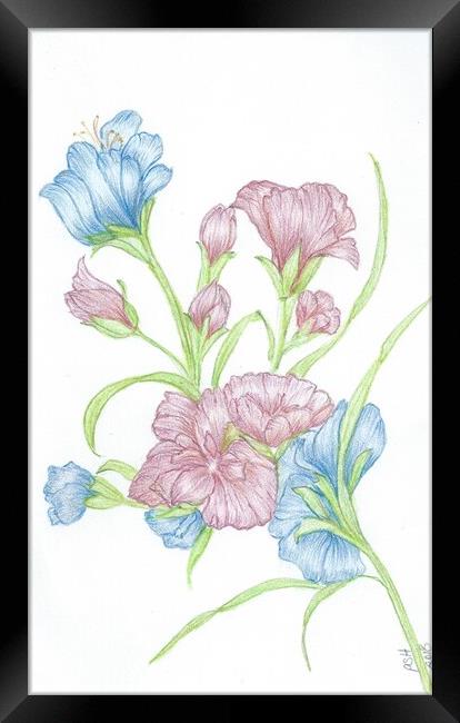 Blue & Red crayon flowers Framed Print by Penelope Hellyer