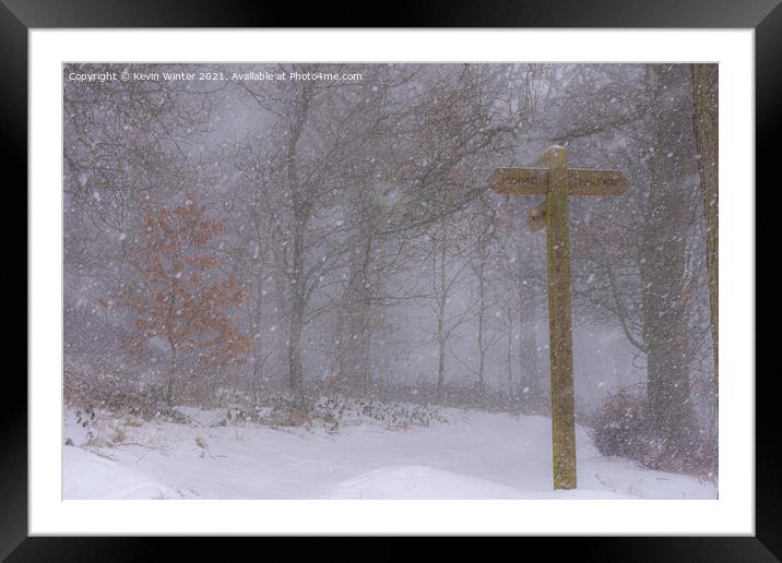 Woodland Blizzard Framed Mounted Print by Kevin Winter