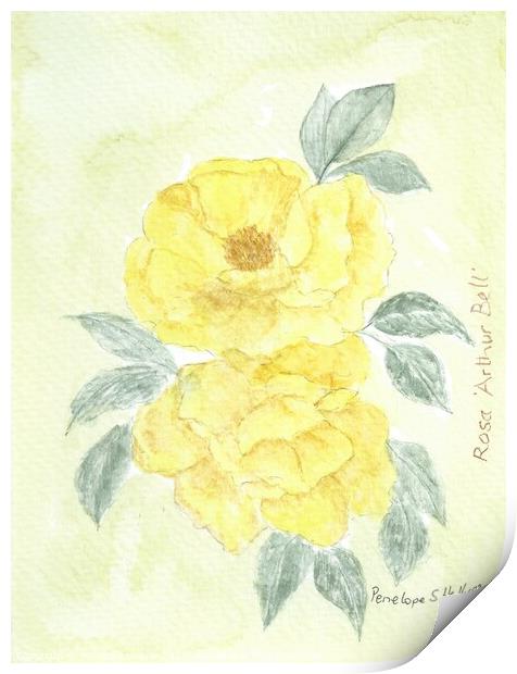 Rosa Arthur Bell Print by Penelope Hellyer