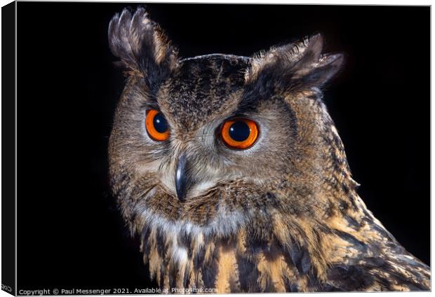 Eagle Owl Canvas Print by Paul Messenger