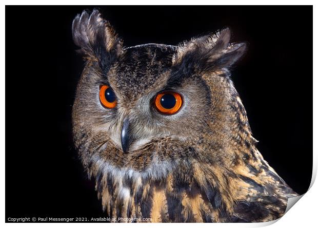 Eagle Owl Print by Paul Messenger