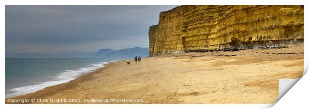 Burton Bradstock beach and cliffs Print by Chris Drabble
