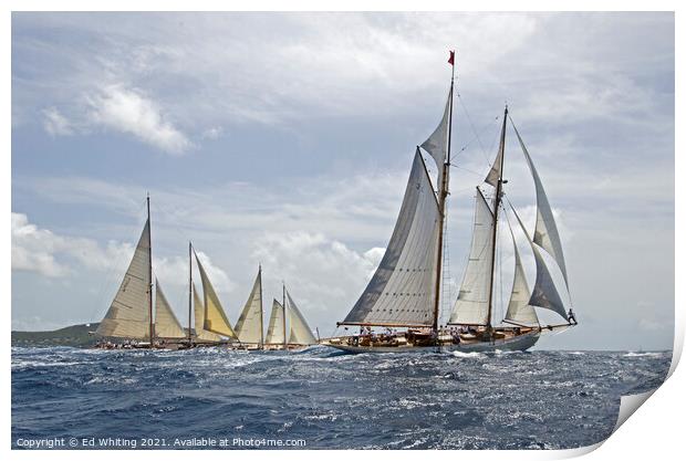 Yacht race Print by Ed Whiting