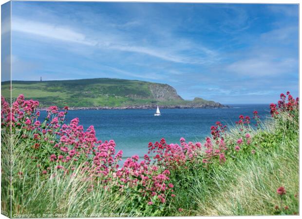 Daymer Bay and Stepper Point  Canvas Print by Brian Pierce